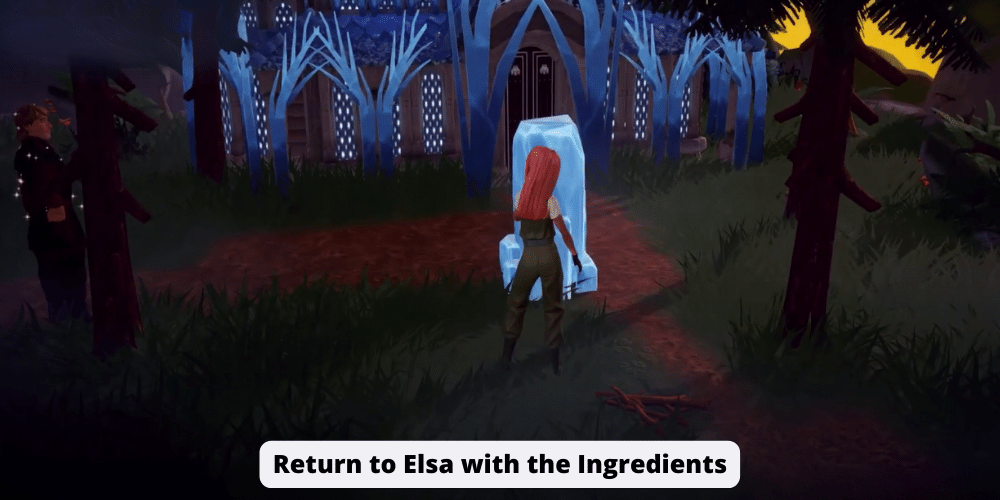 Return to Elsa with the Ingredients